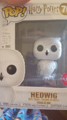 Hedwig- From a wonderful friend on submission of my PhD.